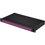 Renkforce Patchbox-Frontblende 24 Port Unbestückt Renkforce (RF-3783844)