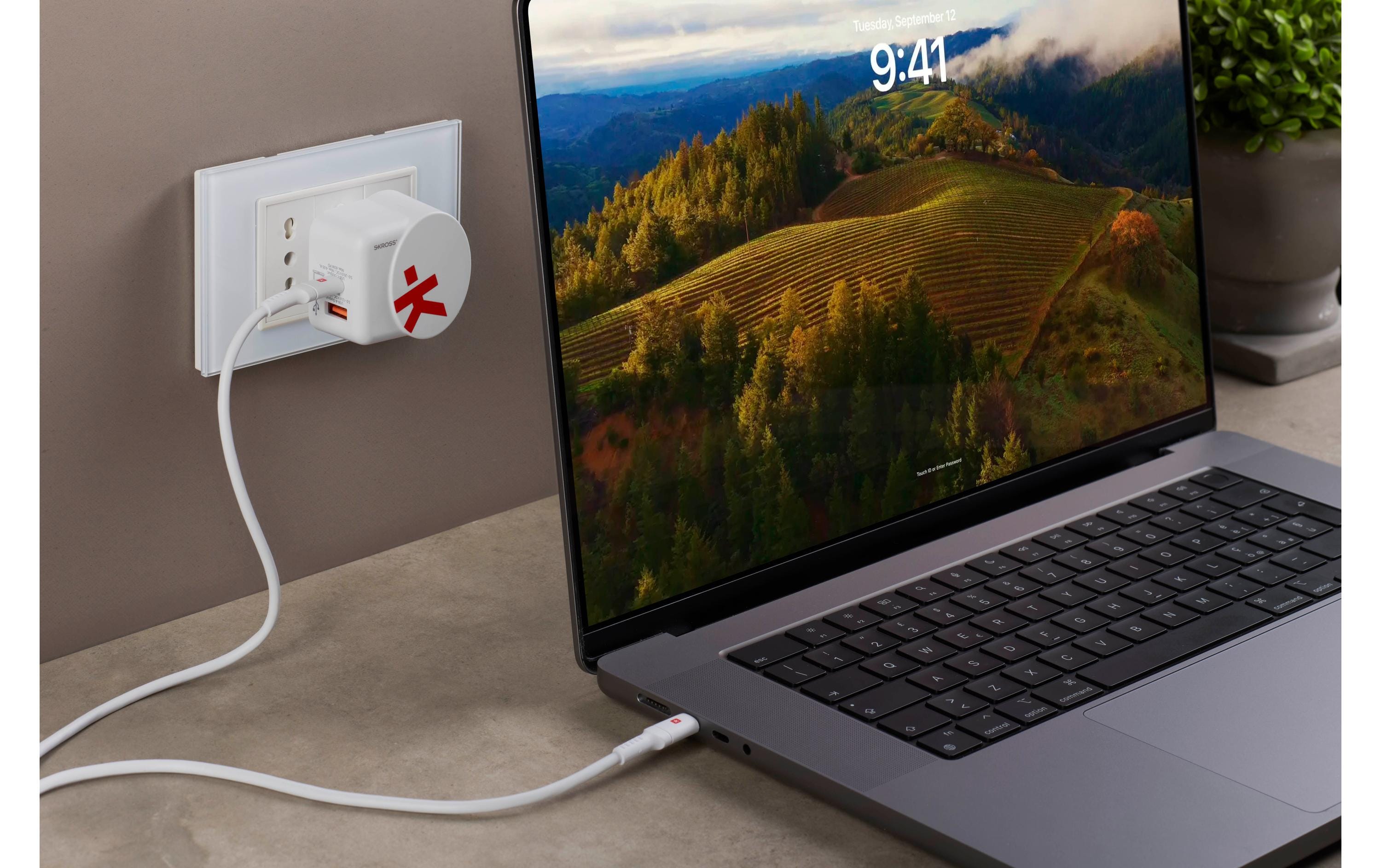 SKROSS Euro USB Charger AC65PD 65 W Weiß