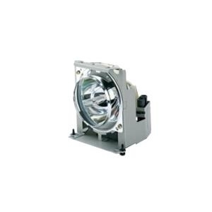 ViewSonic RLC-090 Projektorlampe (RLC-090)