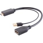 shiverpeaks -BASIC-S--Adapter-HDMI-A Adapter, Displayport Buchse, 4K, 30cm (80098-SPB)
