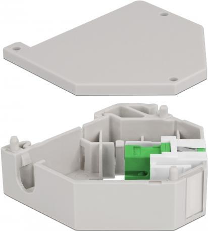 Delock Modulare Eingabe (87165)