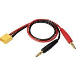 Reely Ladekabel [1x Lamellenstecker 4 mm - 1x XT60-Stecker] 30.00 cm (RE-6799038)