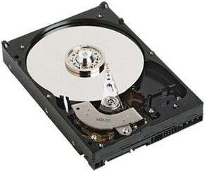 DELL JU093 Interne Festplatte 3.5" 500 GB Serial ATA II (JU093)