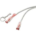 Renkforce RF-4533114 Netzwerkkabel Grau 1 m Cat6a S/FTP (S-STP) (RF-4533114)