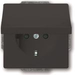 Busch-Jaeger SCHUKO Steckdosen-Einsatz anthrazit 20 EUKB-81 (2CKA002018A1517)