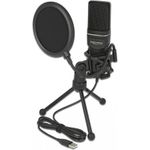 Delock USB Condenser Microphone Set for Podcasting, Gaming and Vocals (66331)