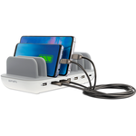 4smarts 462310 Ladegerät für Mobilgeräte Weiß/Grau (462310)