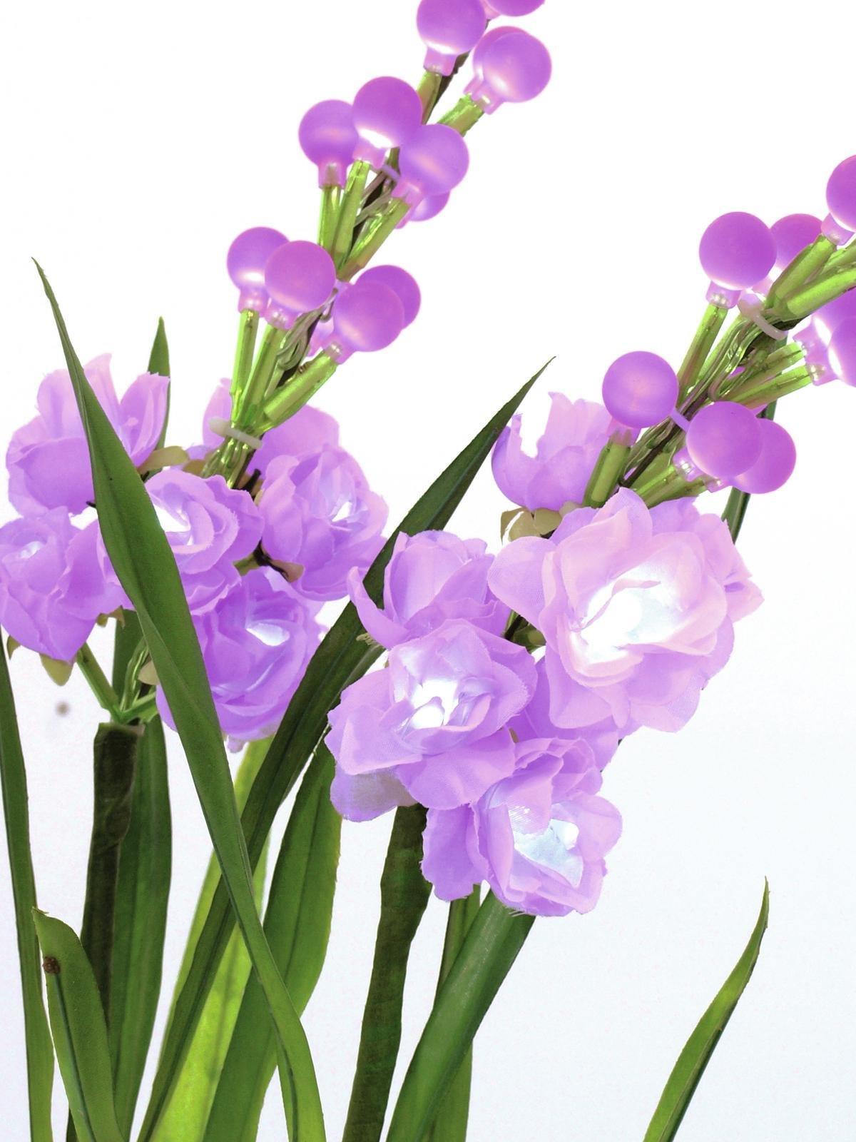 EUROPALMS Aronstab 3er Set mit LEDs, pink, 85cm (83330304)