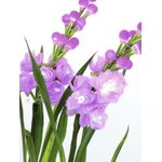 EUROPALMS Aronstab 3er Set mit LEDs, pink, 85cm (83330304)