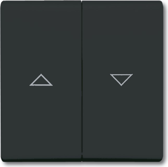 Busch Jaeger 1731-0-1726 Wandplatte/Schalterabdeckung Anthrazit (1731-0-1726)