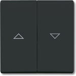 Busch Jaeger 1731-0-1726 Wandplatte/Schalterabdeckung Anthrazit (1731-0-1726)