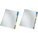 LEITZ Mylarkarton-Register, blanko, A4, 10-teilig, grau farbige Tabe, 160 g-qm, mit beschriftbarem Deckblatt, Tabe (4321-00-00)