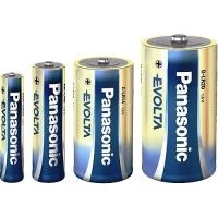 Panasonic Evolta Platinum LR20EE/2BP - Batterie 2 x D Alkalisch (LR20EGE/2BP)