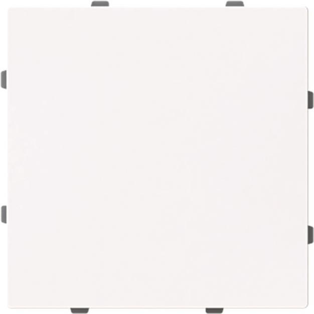 BUSCH-JAEGER 1742-44G Blindzentralscheibe mit Tragring (2CKA001710A4211)