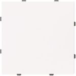 BUSCH-JAEGER 1742-44G Blindzentralscheibe mit Tragring (2CKA001710A4211)