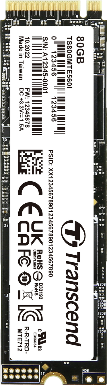 Transcend MTE560I M.2 80 GB PCI Express 4.0 NVMe 3D NAND (TS80GMTE560I)