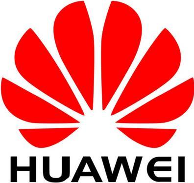 Huawei 88035UPQ Software-Lizenz/-Upgrade 1 Lizenz(en) (88035UPQ)