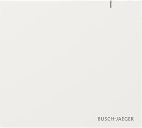 BUSCH JAEGER System Access Point 3.0 Wireless SAP.13-WL (2CKA006200A0967)