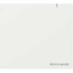 BUSCH JAEGER System Access Point 3.0 Wireless SAP.13-WL (2CKA006200A0967)