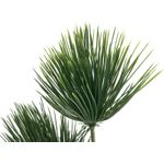 EUROPALMS Papyrus, Kunstpflanze, 100cm (82600234)