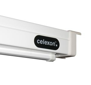 Celexon Motor Professional 67" Motorleinwand 16:9