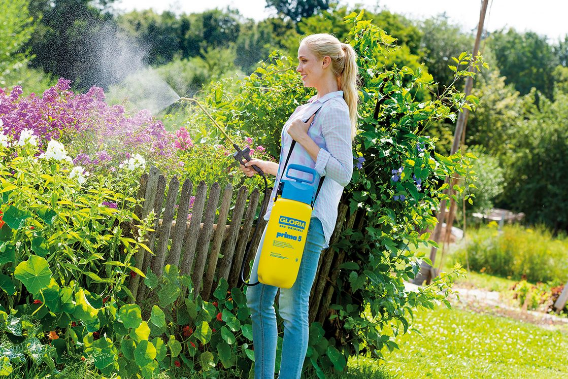 GLORIA Prima 5 Handgartenspritzer 5 l 3 Bar Blau/Gelb