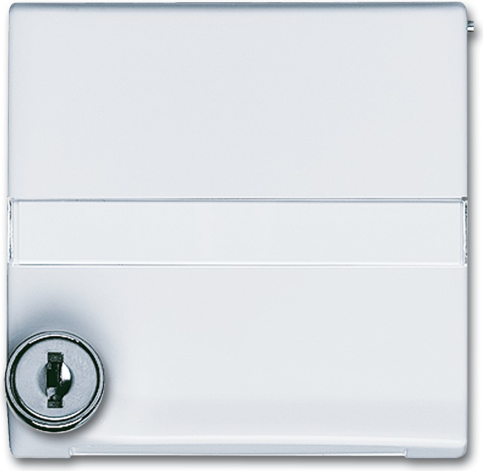 Busch Jaeger 2118 GKSLN/11-34 Weiß (1710-0-3793)