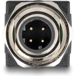 Delock M12 Adapter D-kodiert 4 Pin Stecker zu RJ45 Buchse gerade (60061)