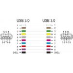 Delock Modulare Eingabe (87831)