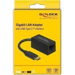 Delock Netzwerkadapter (66043)