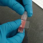 Brady B33-133-461 Druckeretikett Transparent - Weiß Selbstklebendes Druckeretikett (143014)