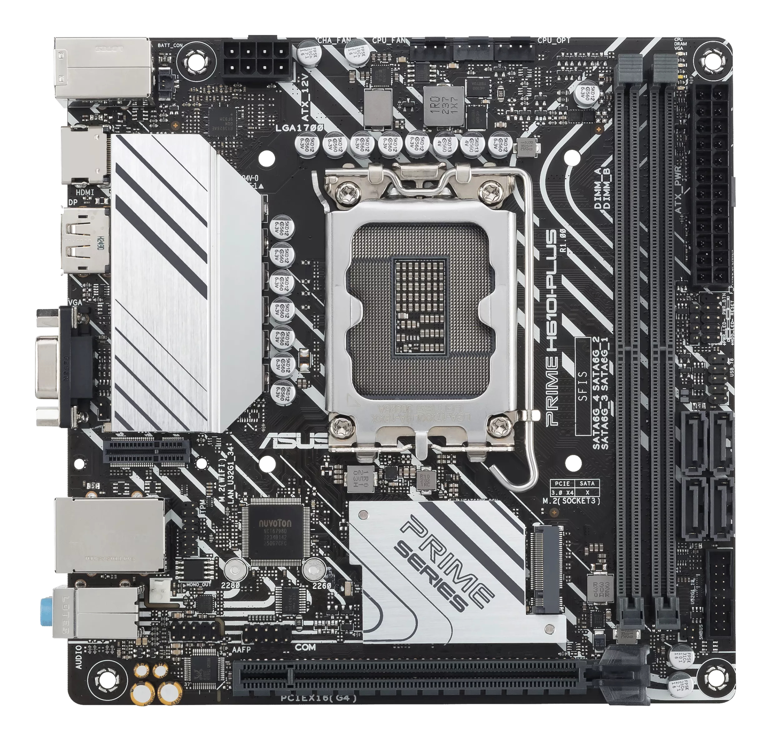 ASUS PRIME H610I-PLUS-CSM Mainboard Mini-ITX Intel H610 LGA 1700 DDR5 Gold