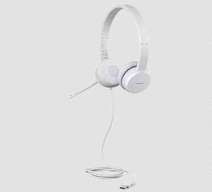 Lenovo 110 Headset On-Ear (GXD1E71385)