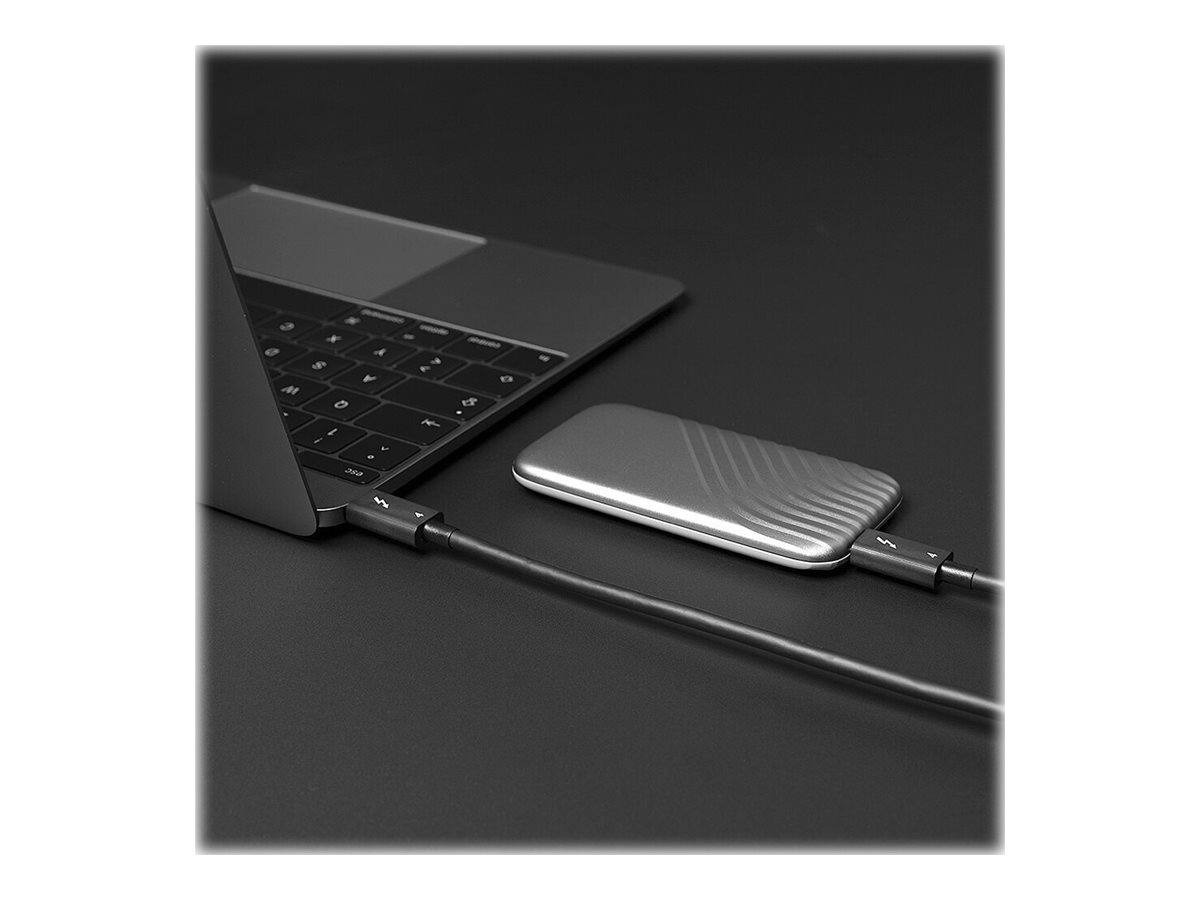 Lindy Thunderbolt 4 Kabel USB-C zu USB-C 1 m 40 Gbit/s passiv Schwarz