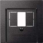 MERTEN Zentralplatte 297914 für Fernm.-Anschlussd. TAE 2979 297914 (297914)