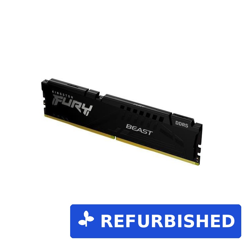 Kingston FURY Beast (KF560C30BBE-32)