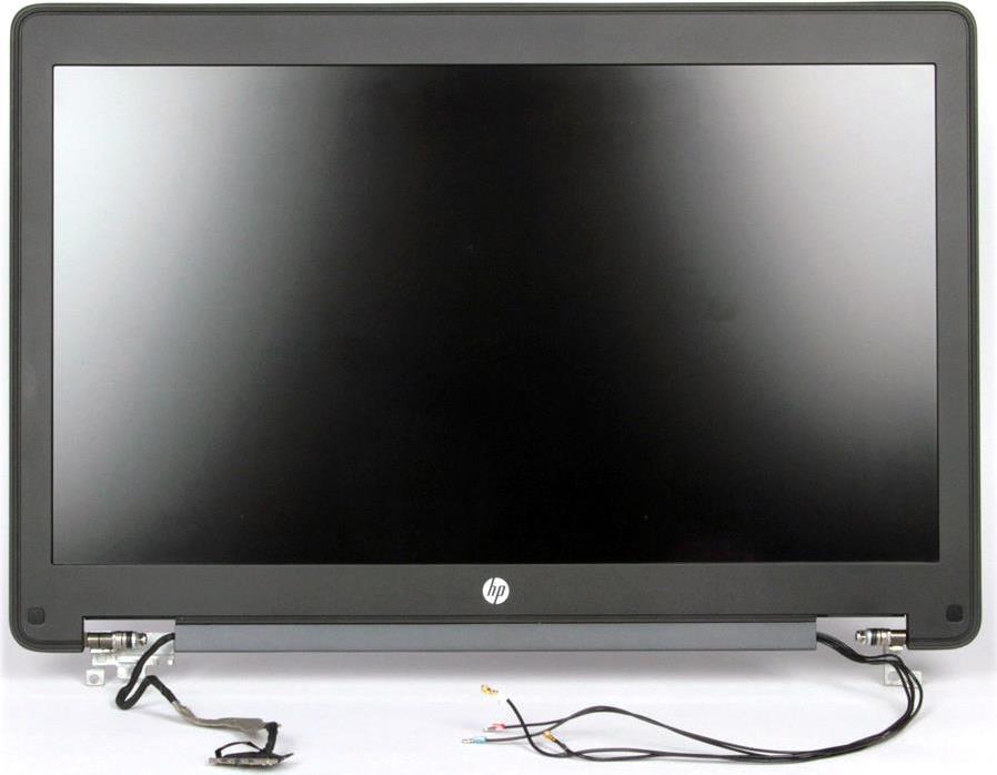 HP Display panel assembly (735964-001)