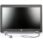 HP Display panel assembly (735964-001)