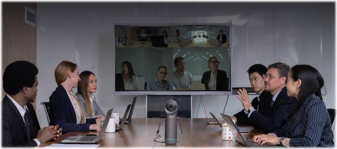 Kandao Meeting 360 Pro Videokonferenzkamera Full HD 360° 8 Mikrofone Grau, Schwarz