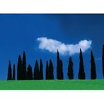 Hama Pol-Filter Filter (00072567)