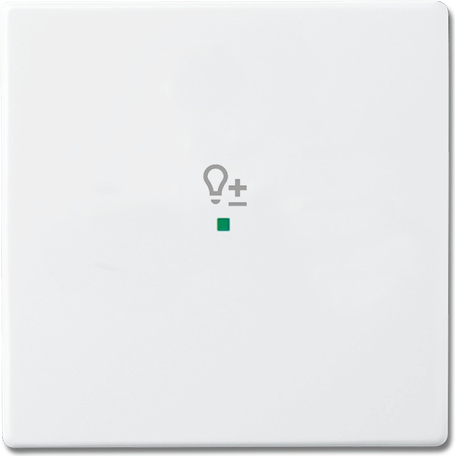 Busch-Jaeger 6220-0-0046 Abdeckplatte für Sensorhalterung & -sockel Weiß (2CKA006220A0046)