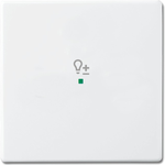 Busch-Jaeger 6220-0-0046 Abdeckplatte für Sensorhalterung & -sockel Weiß (2CKA006220A0046)