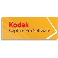 Kodak Capture Pro Group DX (8101404)