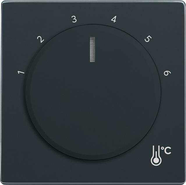 Busch-Jaeger 1794 R-81 Abdeckplatte für Sensorhalterung & -sockel Anthrazit (2CKA001710A4198)