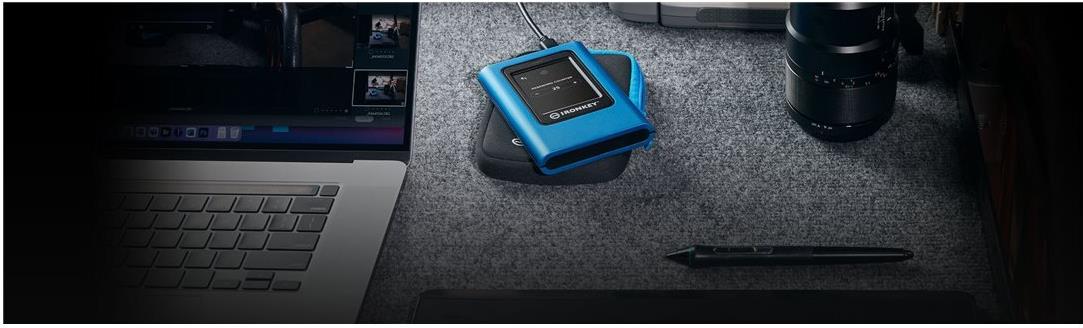 Kingston IronKey Vault Privacy 80 Externe SSD 960 GB USB 3.2 Gen 1 XTS-AES 256 Bit Blau