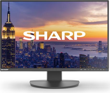Sharp MultiSync EA242W 61,00cm (24") WUXGA IPS-Monitor 1920x1200 USB-C HDMI DP