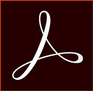 Adobe Acrobat Pro 2020 (65324399AD01A00)