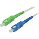 Synergy 21 S215623 Glasfaserkabel 5 m LSZH OS2 SC Weiß (S215623)