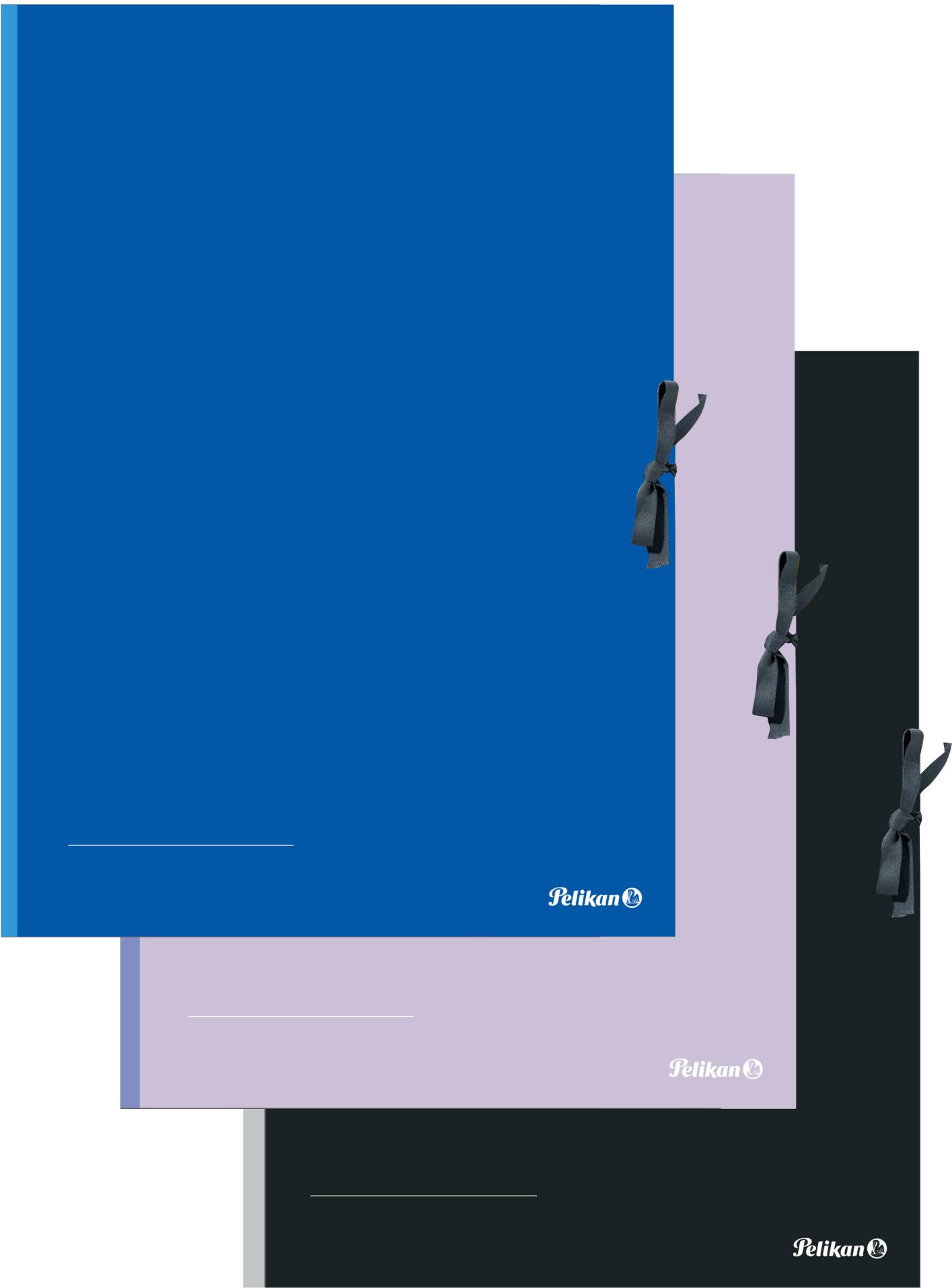 Pelikan 276870 Sammelmappe Karton Schwarz (276870)