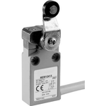 Panasonic Endschalter 24 V 5 A Rollenhebel MEM1G41ZD IP67 1 St. (MEM1G41ZD)